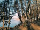 karmazinu pazintinis takas karmazinu pazintinis takas