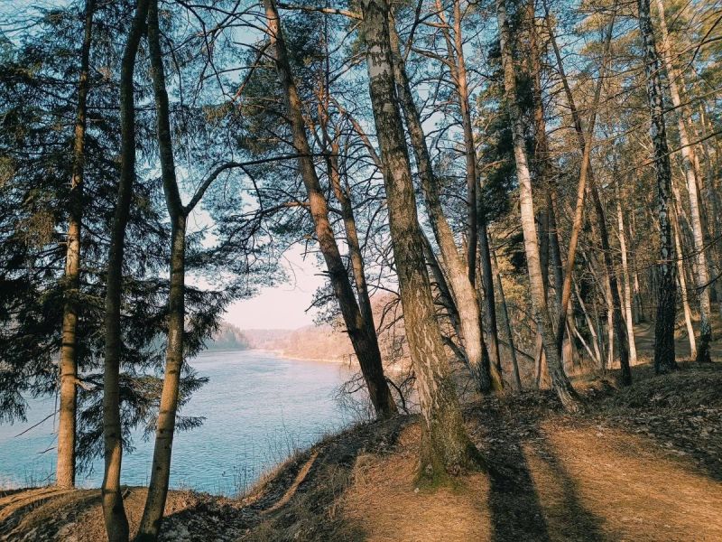 karmazinu pazintinis takas karmazinu pazintinis takas