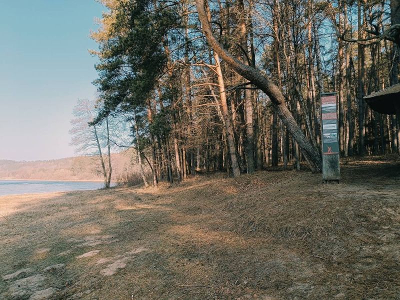 karmazinu pazintinis takas karmazinu pazintinis takas