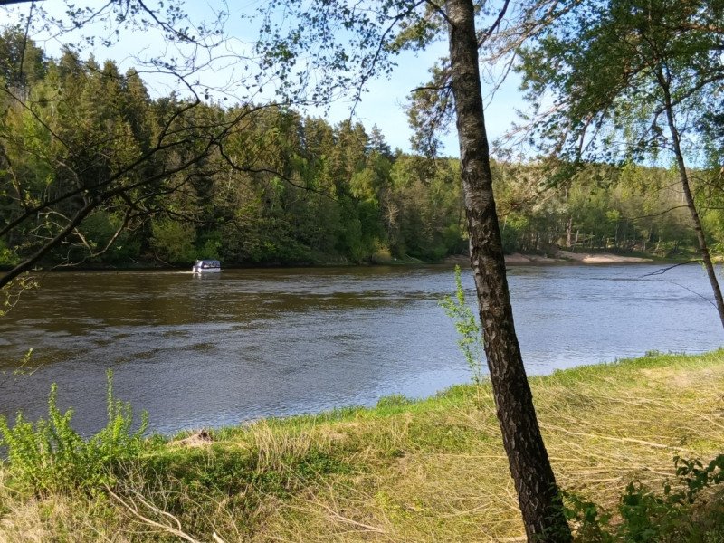 img 2026051174906
