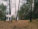img 20230828