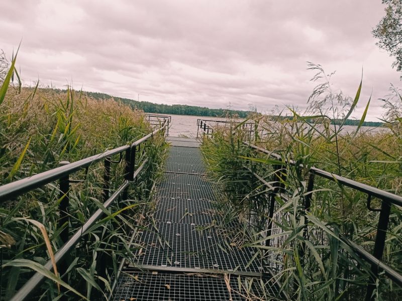 img 20230828 img 20230828