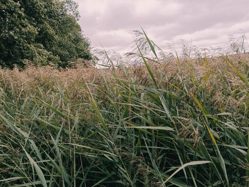 img 20230828 img 20230828