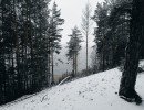 img 20231224