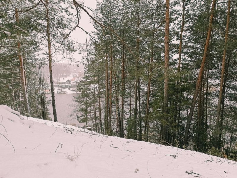 img 20231224 img 20231224