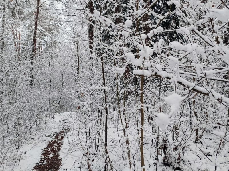 img 20231224 img 20231224