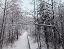 img 20231224