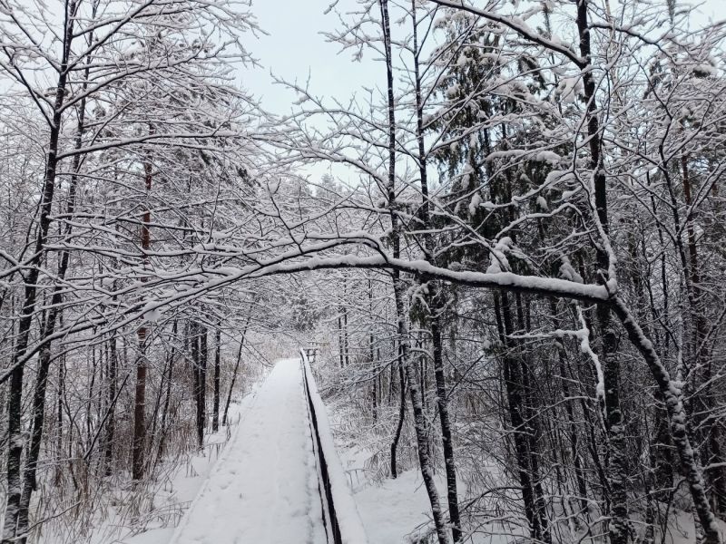 img 20231224 img 20231224