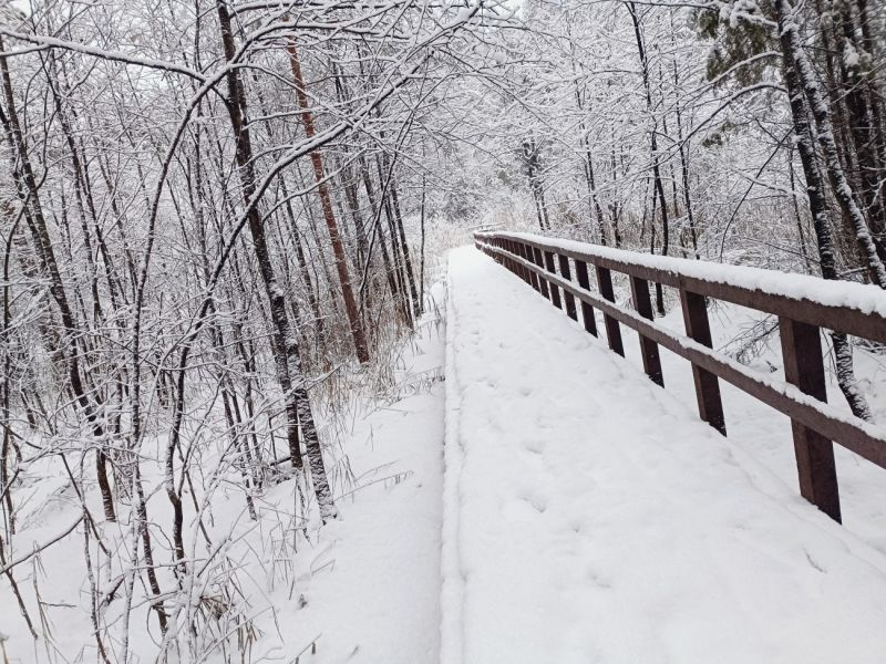 img 20231224 img 20231224