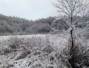 img 20231224