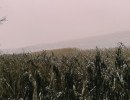 img 20231224