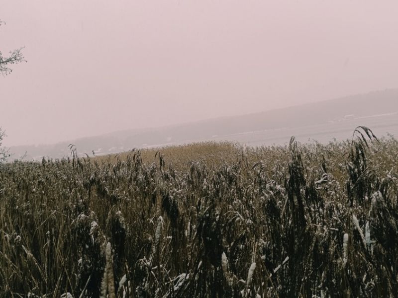 img 20231224 img 20231224