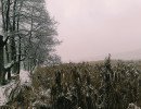 img 20231224