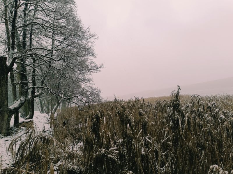 img 20231224 img 20231224