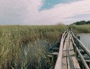 img 20250621