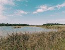 img 20250621