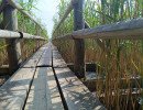 img 20250621