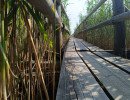 img 20250621