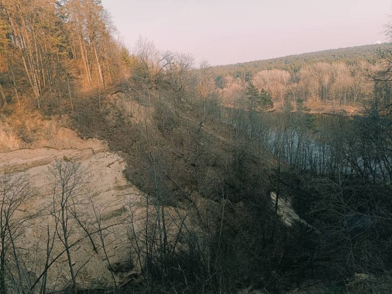 img 20250311 img 20250311