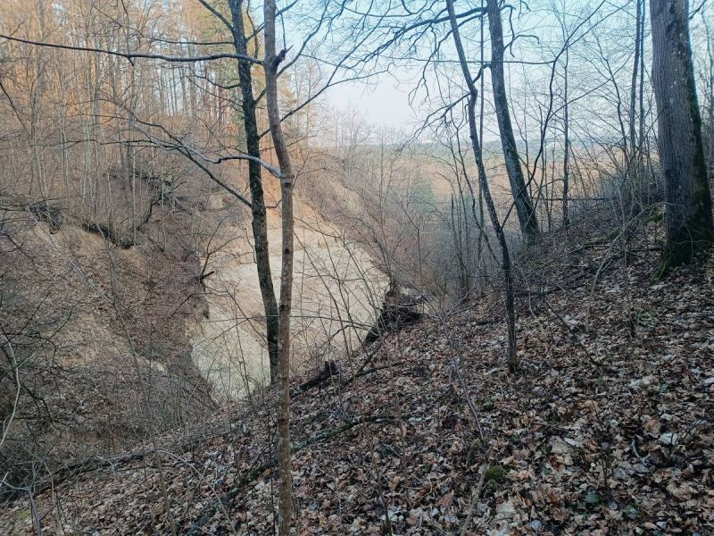 img 20250311 img 20250311