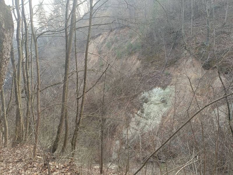 img 20250311 img 20250311