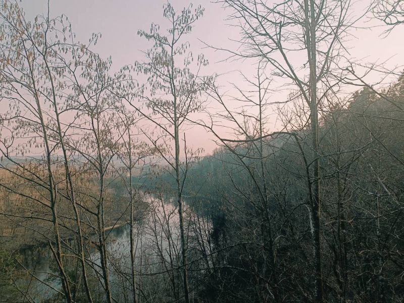 img 20250311 img 20250311