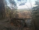 img 20250311 img 20250311