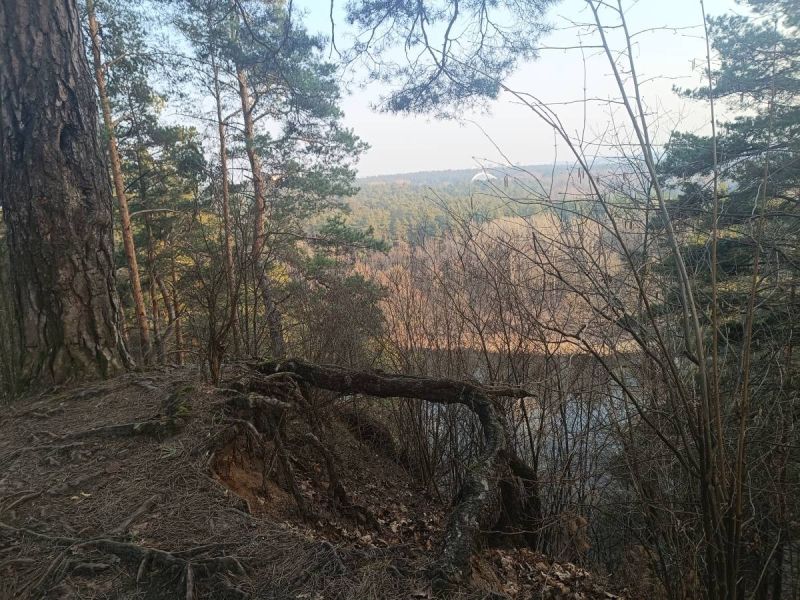 img 20250311 img 20250311