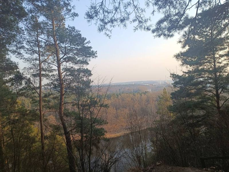 img 20250311 img 20250311