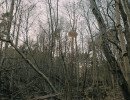 img 20250320 img 20250320