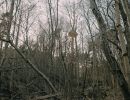 img 20250320