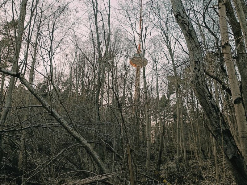 img 20250320 img 20250320