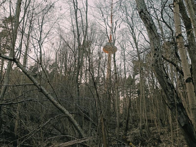 img 20250320 img 20250320