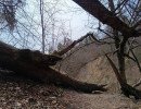 img 20250412 img 20250412