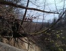img 20250412 img 20250412