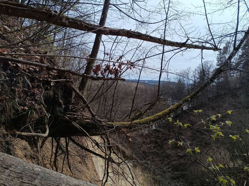 img 20250412 img 20250412