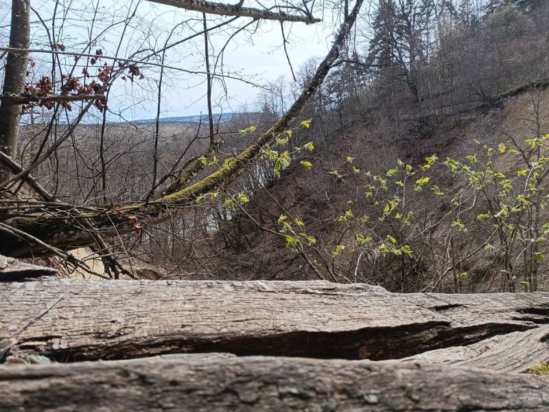 img 20250412 img 20250412