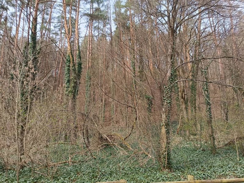 img 20250412 img 20250412