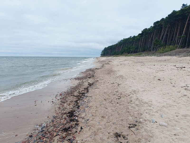 img 20250709 img 20250709