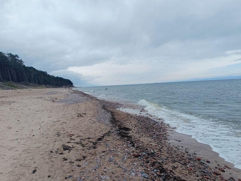 img 20250709 img 20250709