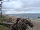 img 20250709