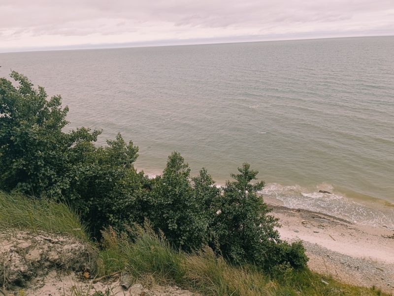 img 20250709 img 20250709