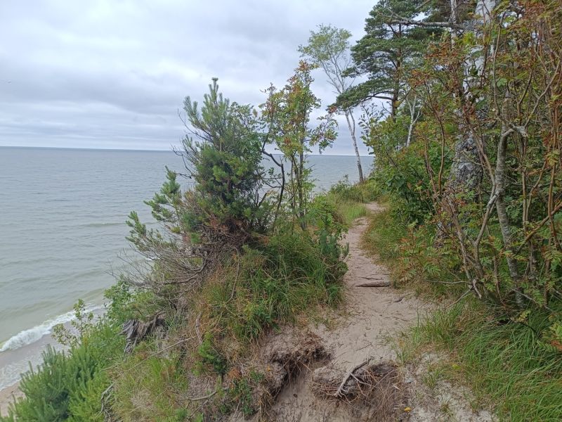 img 20250709 img 20250709