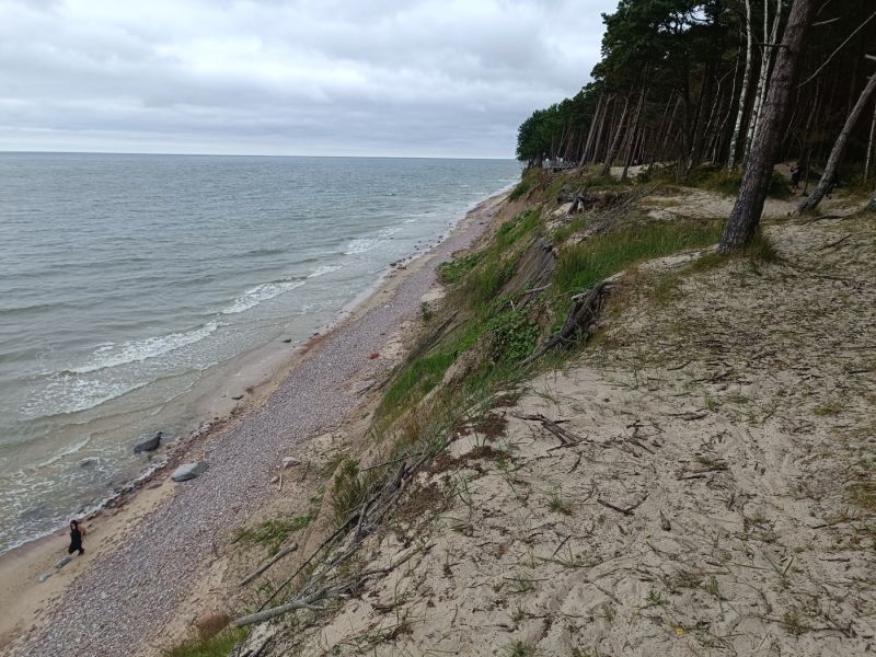 img 20250709 img 20250709