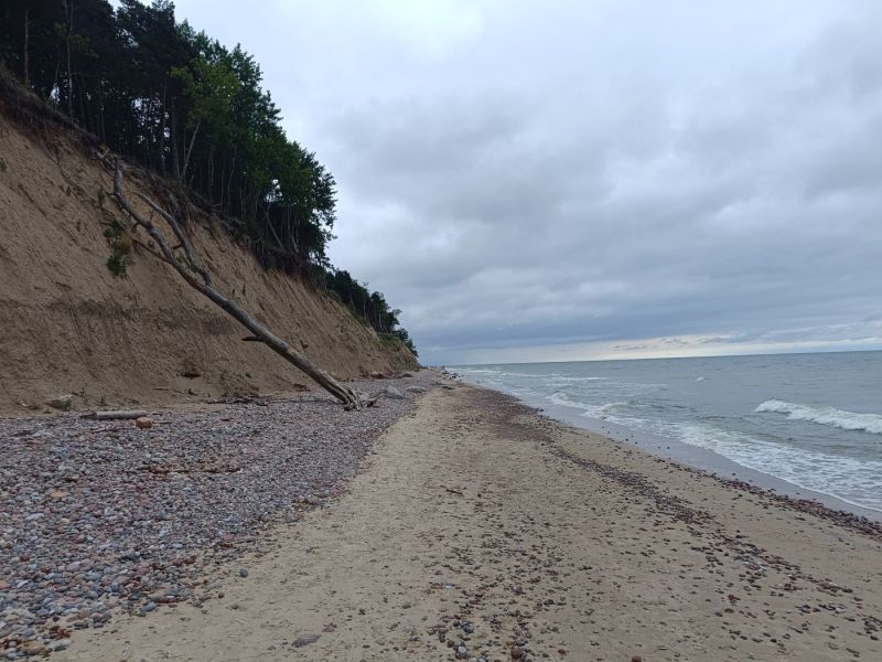 img 20250709 img 20250709