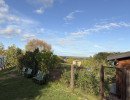 img img