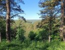 img 20230610