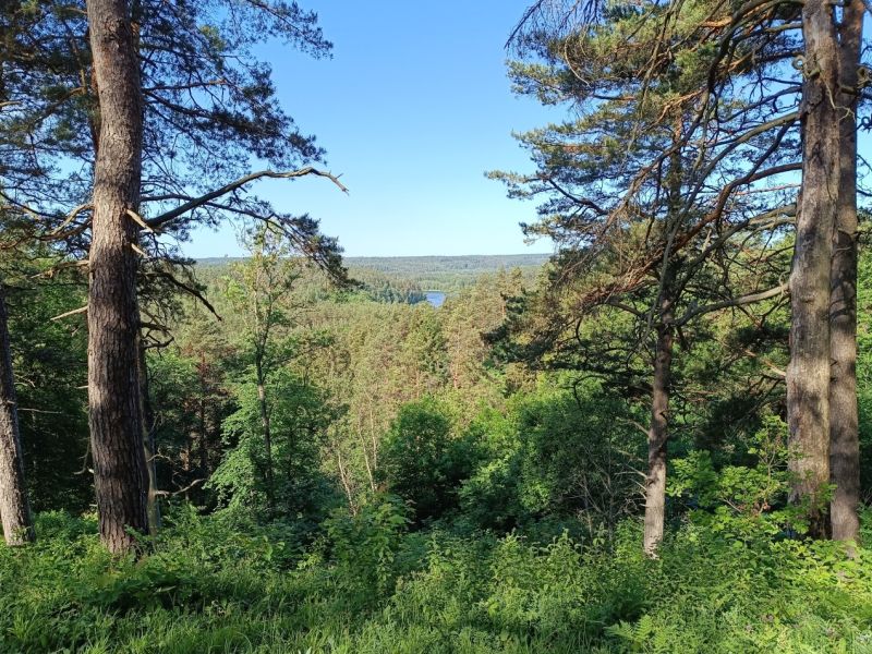 img 20230610 img 20230610