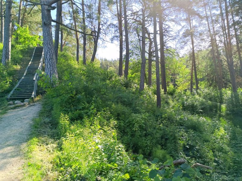 img 20230610 img 20230610