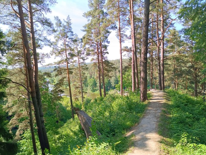 img 20230610 img 20230610